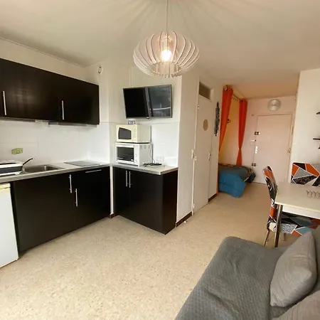 2 Etoiles A Avec Animaux Admis Et Climatisation - Fr-1-503-28 Apartment