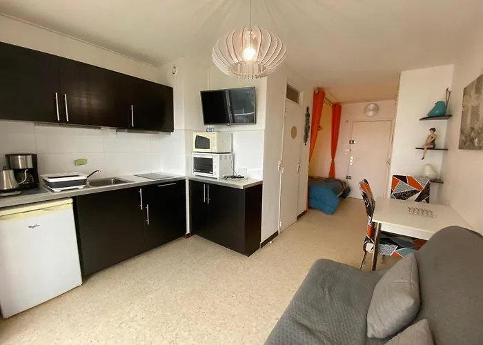 2 Etoiles A Avec Animaux Admis Et Climatisation - Fr-1-503-28 Apartment
