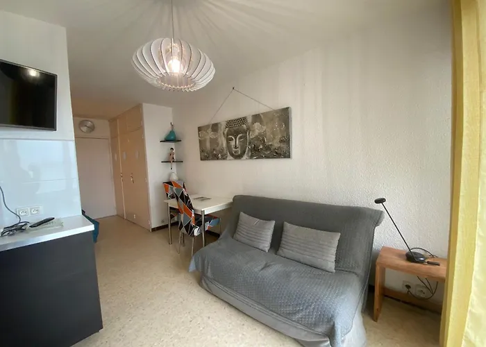 2 Etoiles A Avec Animaux Admis Et Climatisation - Fr-1-503-28 Apartment *
