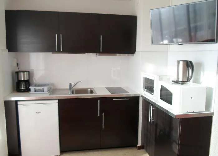2 Etoiles A Avec Animaux Admis Et Climatisation - Fr-1-503-28 Apartment Balaruc-les-Bains